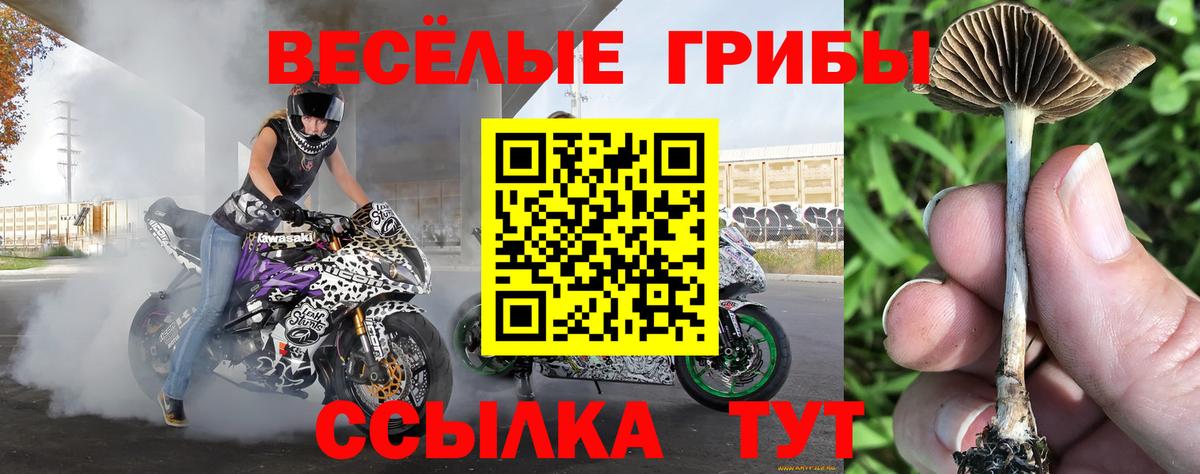 Галлюциногенные грибы мицелий  Вход с VPN  Долгопрудный  Галлюциногенные грибы Magic Shrooms 